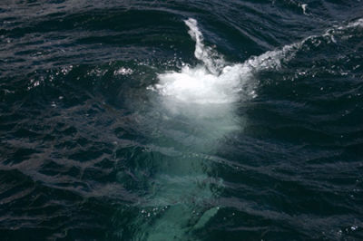 DORUS MOR WHIRLPOOL